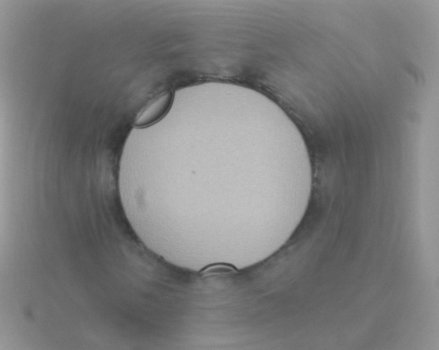 X0000115401058200911241302