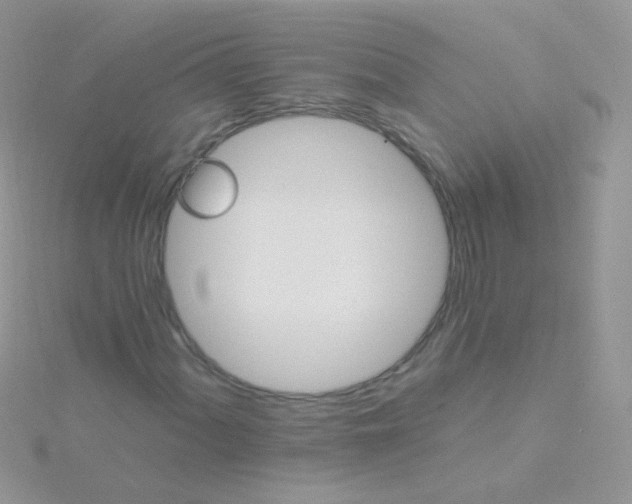 X0000115401060200911241302