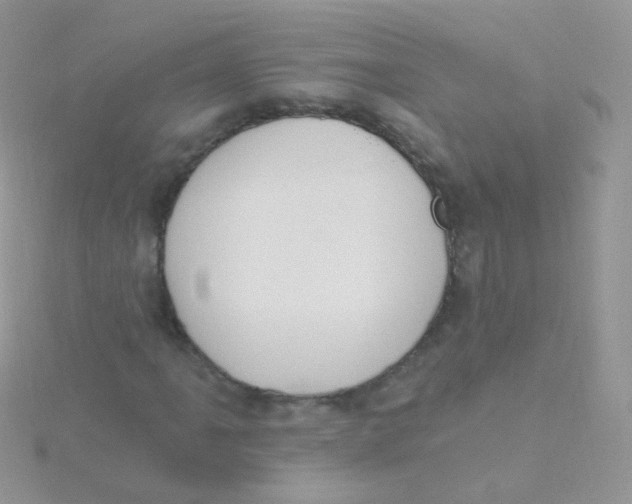 X0000115401061200911241302