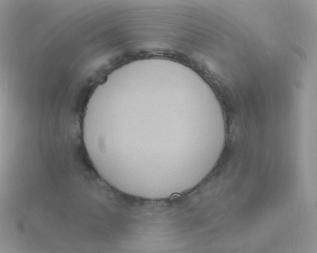 X0000115401062200911241302