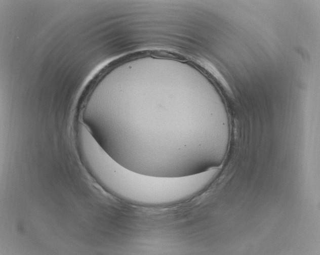 X0000115401068200911241302