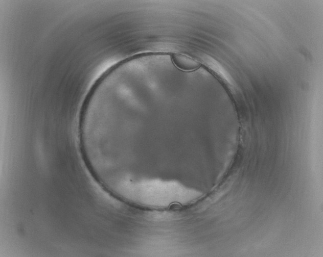 X0000115401087200911241302