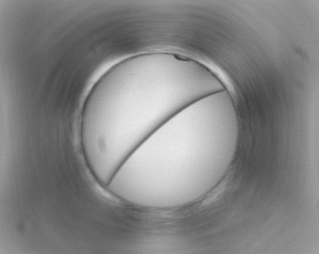 X0000115401102200911241302