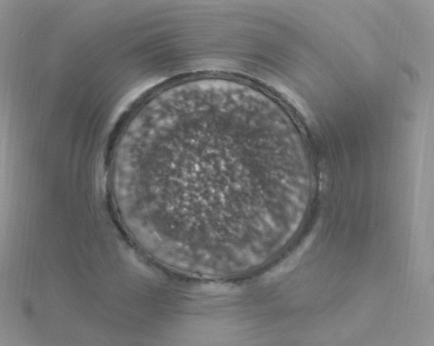 X0000115401117200911241301