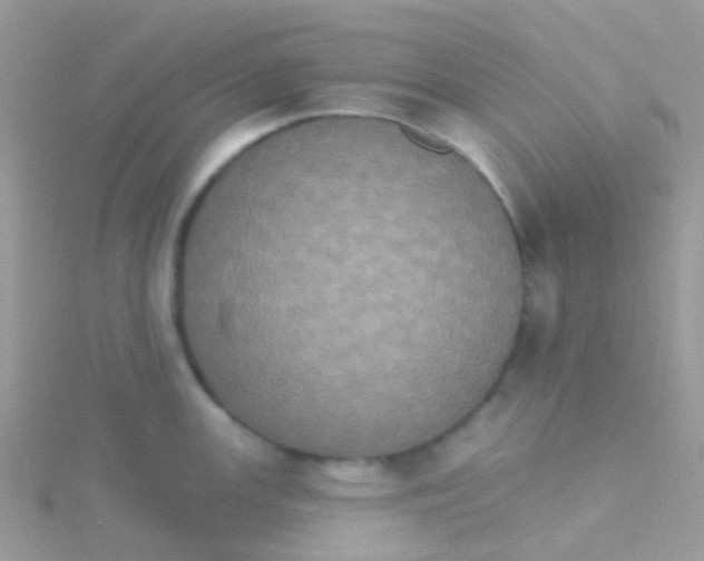 X0000115401147200911241302