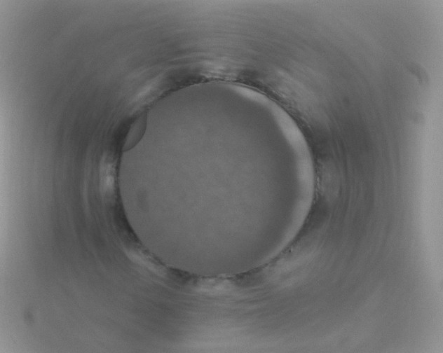 X0000115401154200911241301