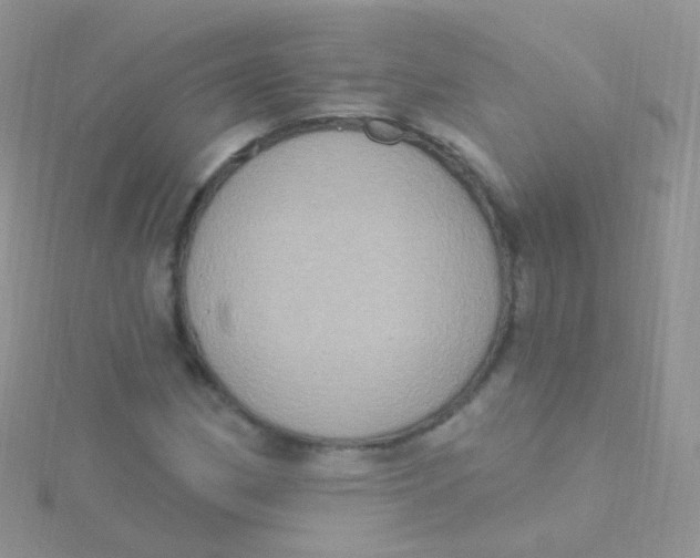 X0000115401162200911241301