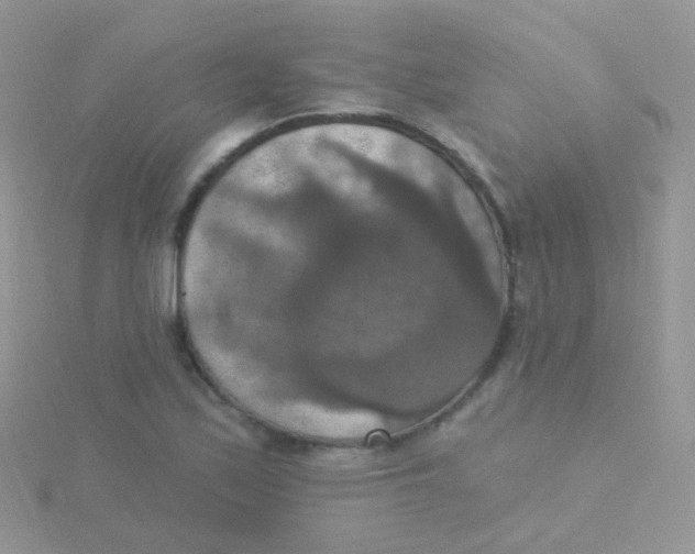 X0000115401171200911241301