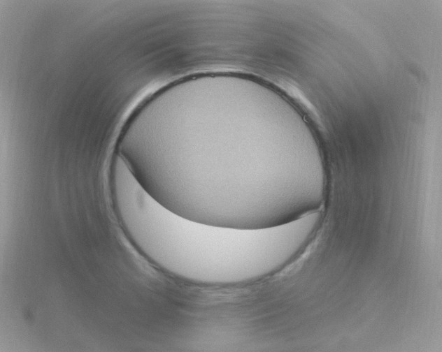 X0000115401181200911241301