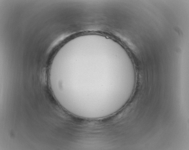 X0000115401262200911241259