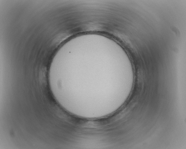 X0000115401265200911241259