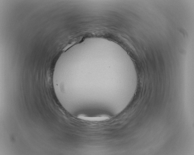 X0000115401298200911241258