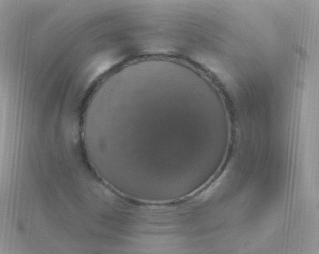 X0000115401306200911241258
