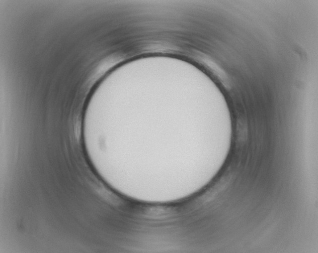 X0000115401322200911241258