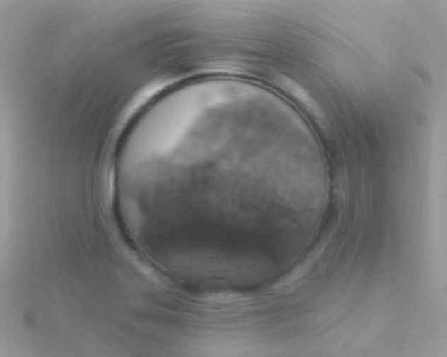X0000115401323200911241258