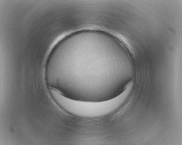 X0000115401326200911241258
