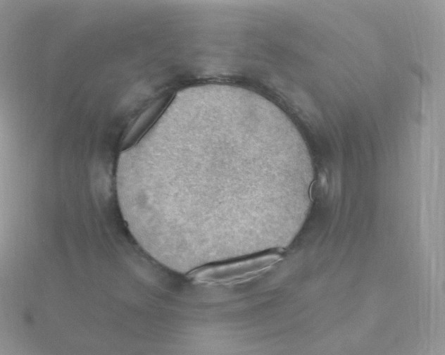 X0000115401348200911241258