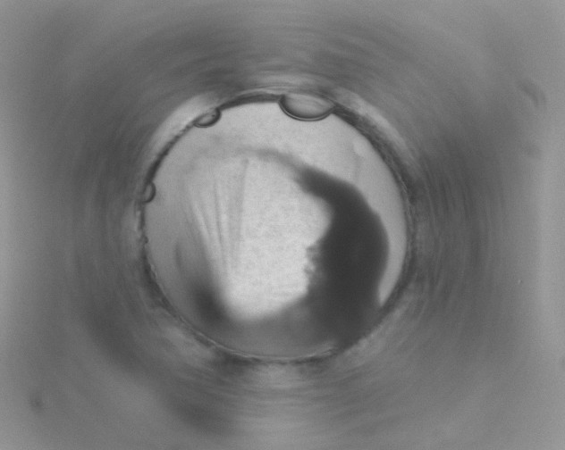 X0000115401362200911241258