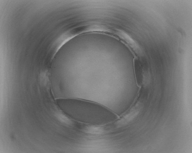 X0000115401369200911241258
