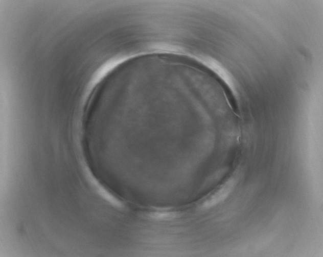 X0000115401381200911241258