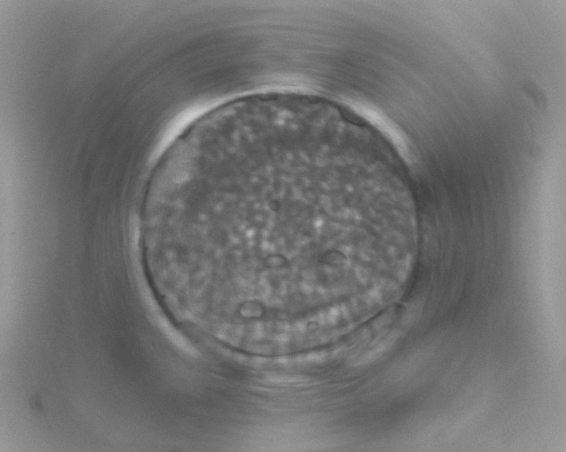 X0000115401383200911241258
