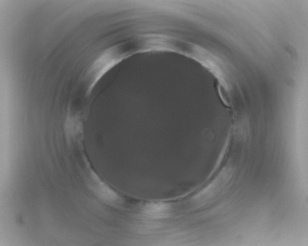 X0000115401385200911241258