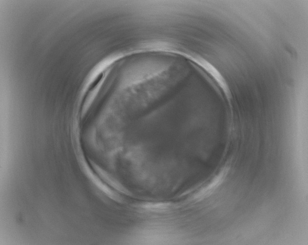 X0000115401389200911241258