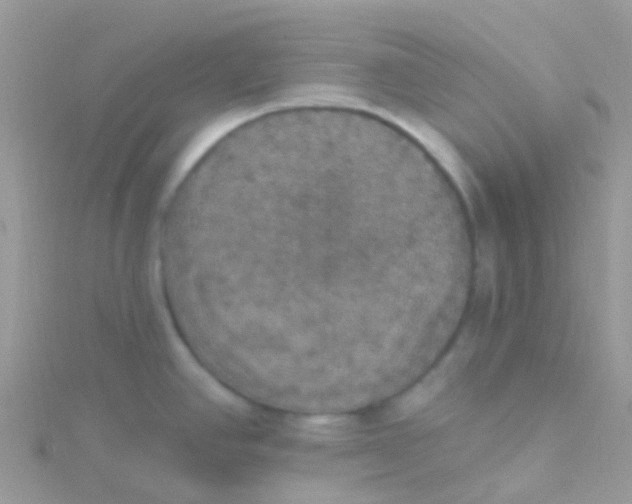 X0000115401390200911241258