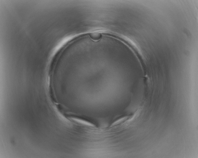 X0000115401414200911241257