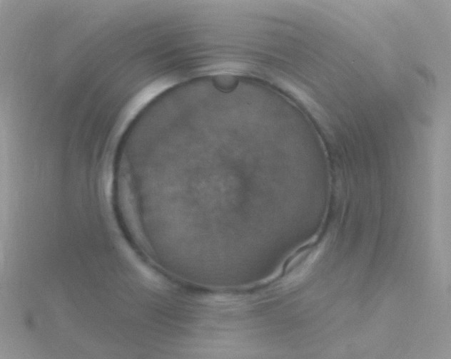 X0000115401418200911241257