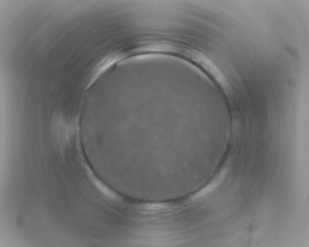 X0000115401425200911241257