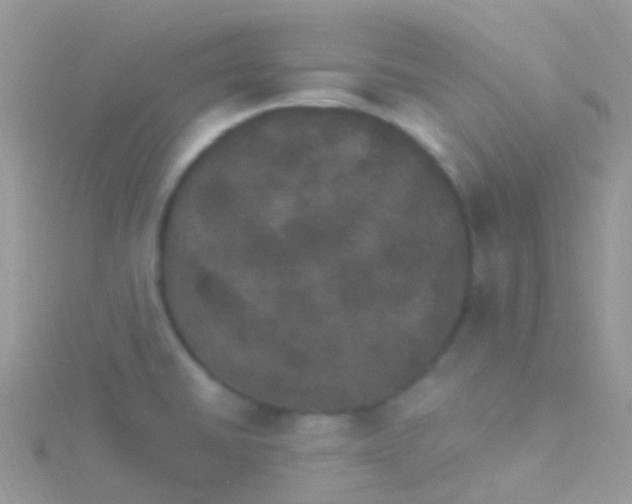 X0000115401430200911241257