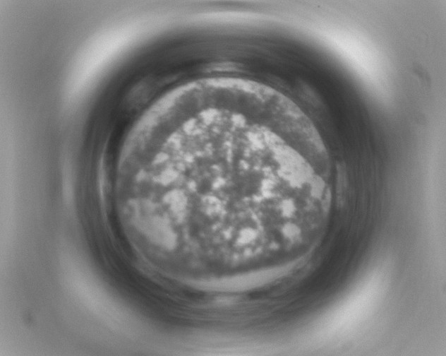 X0000115401438200911241257