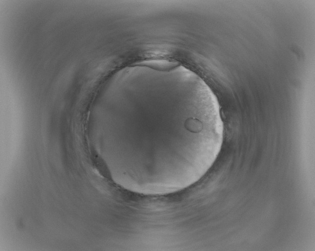 X0000115401441200911241257