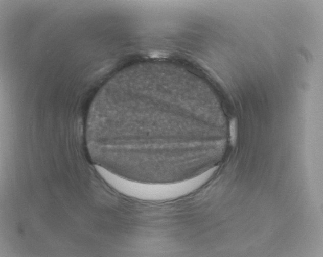 X0000115401443200911241257