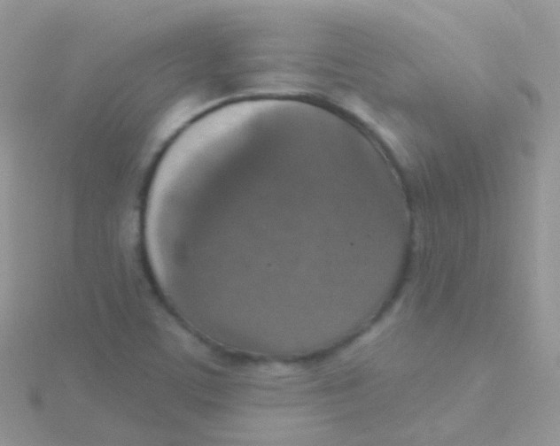 X0000115401459200911241257