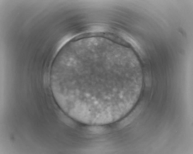 X0000115401473200911241256