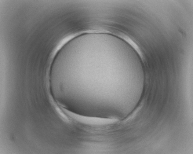 X0000115401485200911241256
