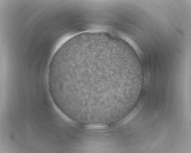 X0000115401487200911241256
