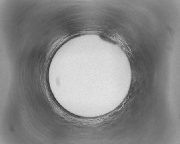 X0000115400001200912011215