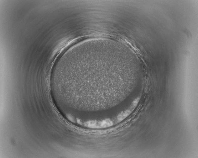 X0000115400002200912011215