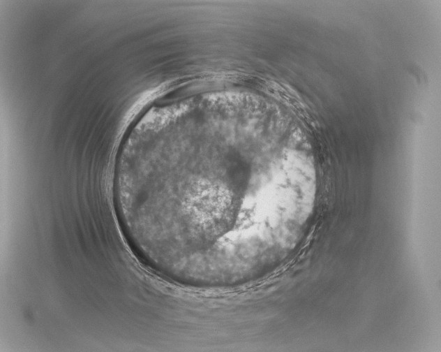 X0000115400003200912011214