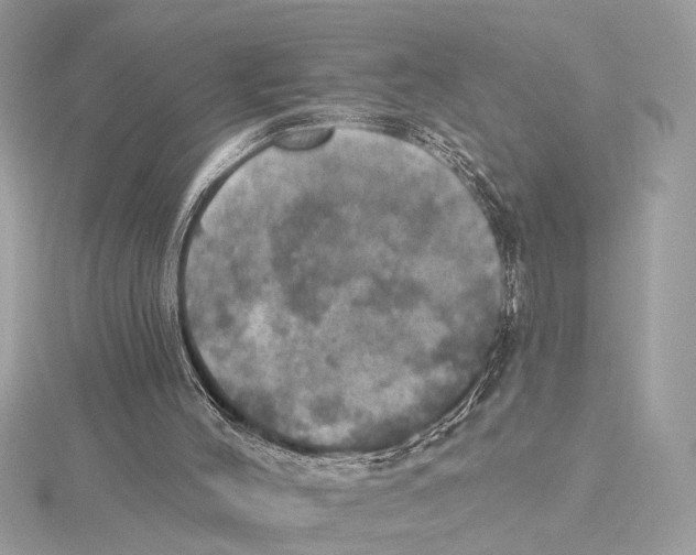 X0000115400004200912011214