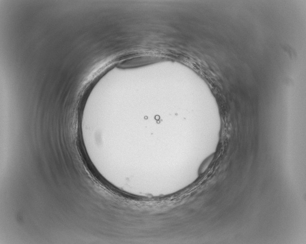 X0000115400005200912011214