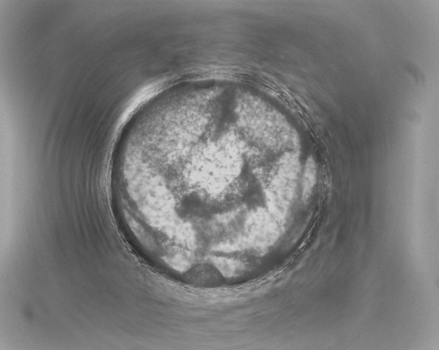 X0000115400006200912011214