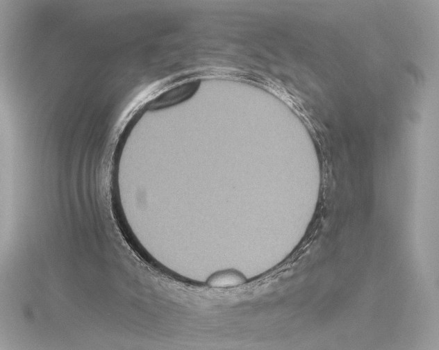 X0000115400007200912011214