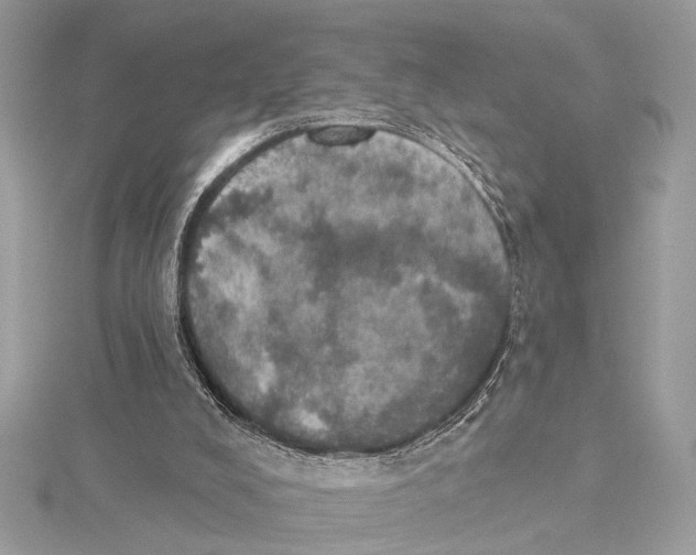 X0000115400008200912011214