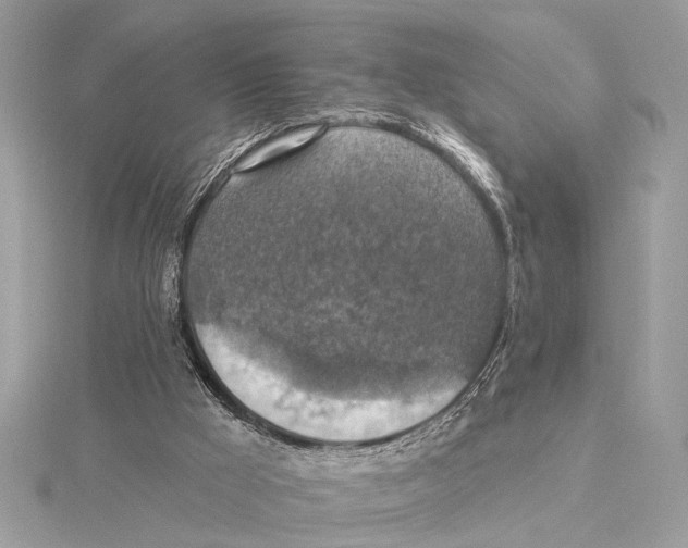 X0000115400009200912011214