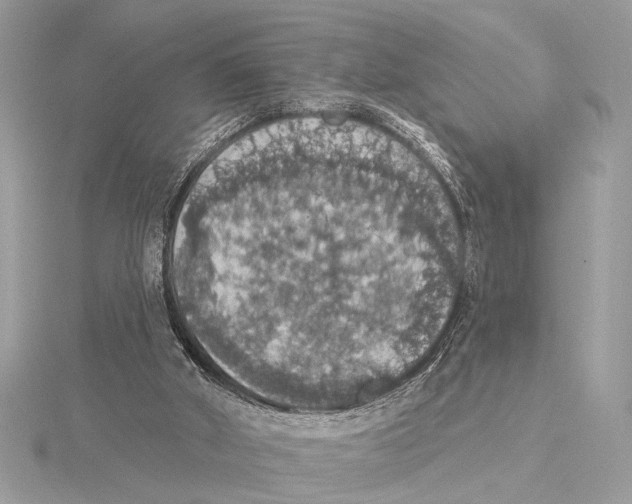 X0000115400010200912011214