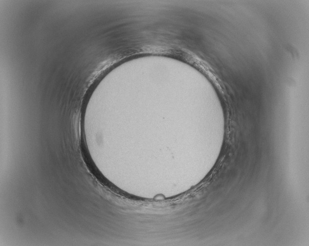 X0000115400011200912011214